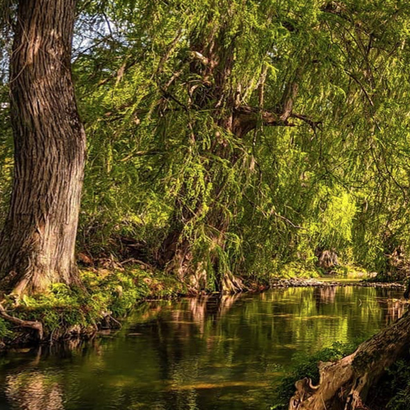 Río Gallitos